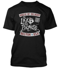 AEROSMITH inspired LICK AND A PROMISE T-Shirt